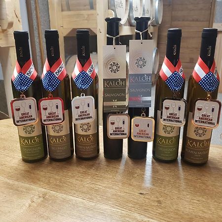 Wine House Kaloh Villa Maribor Bagian luar foto