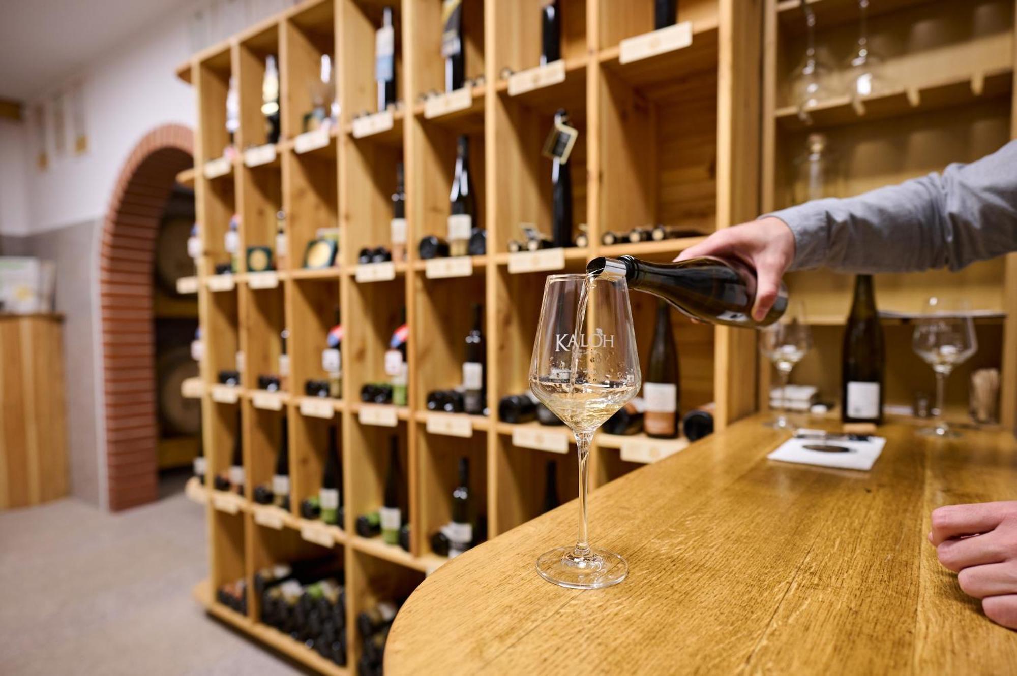 Wine House Kaloh Villa Maribor Bagian luar foto