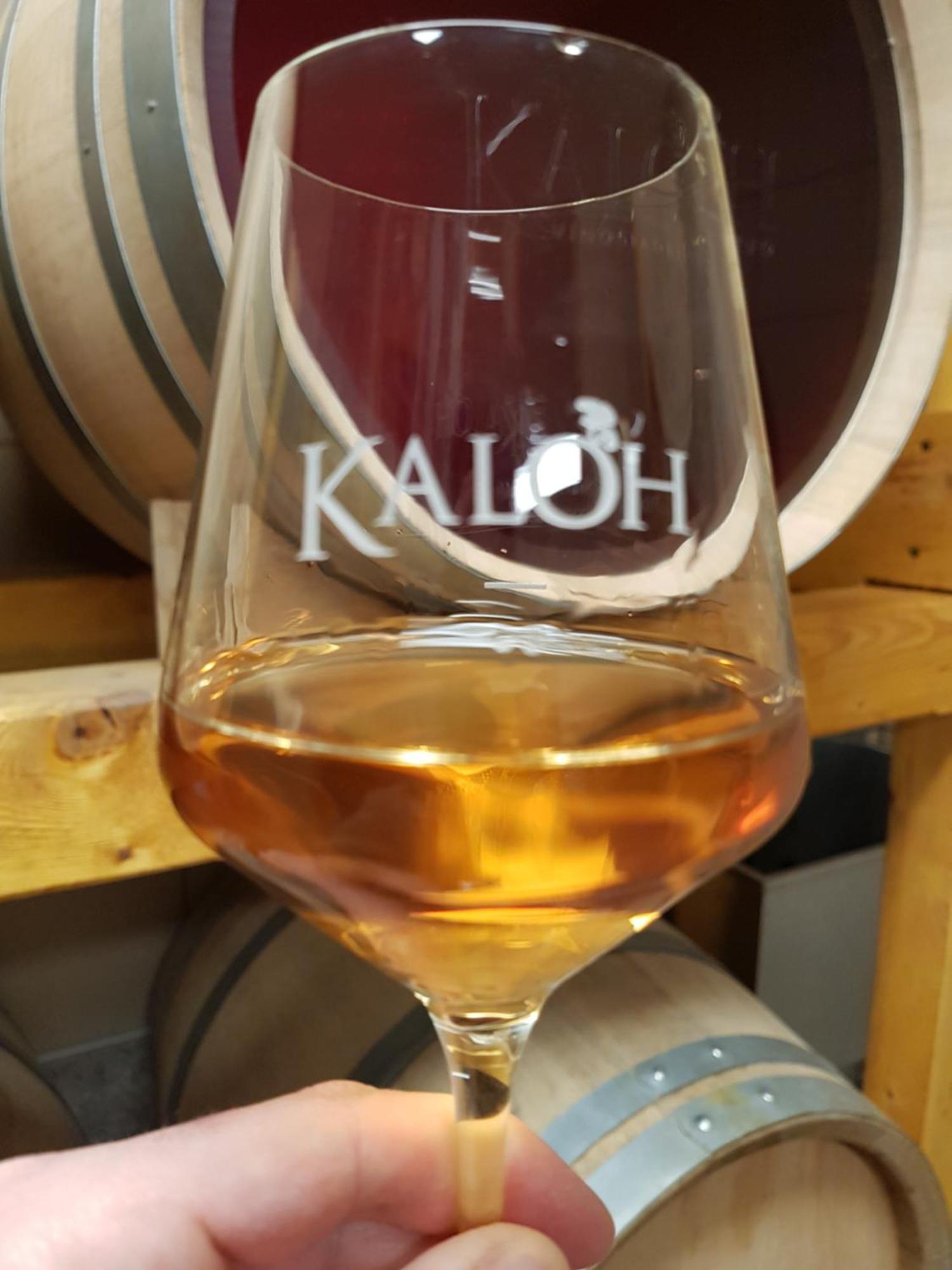 Wine House Kaloh Villa Maribor Bagian luar foto