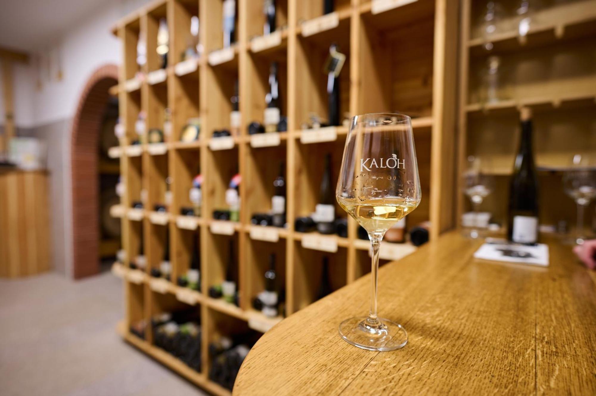 Wine House Kaloh Villa Maribor Bagian luar foto