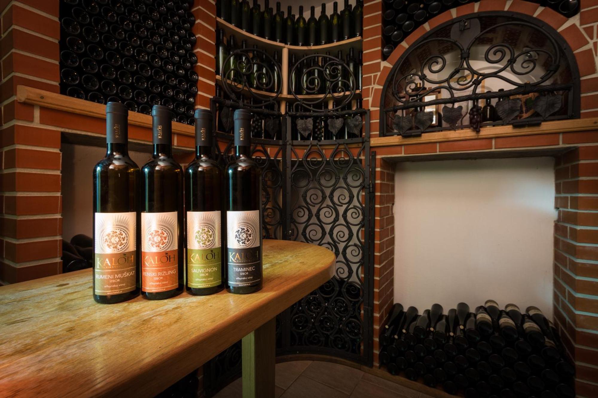 Wine House Kaloh Villa Maribor Bagian luar foto