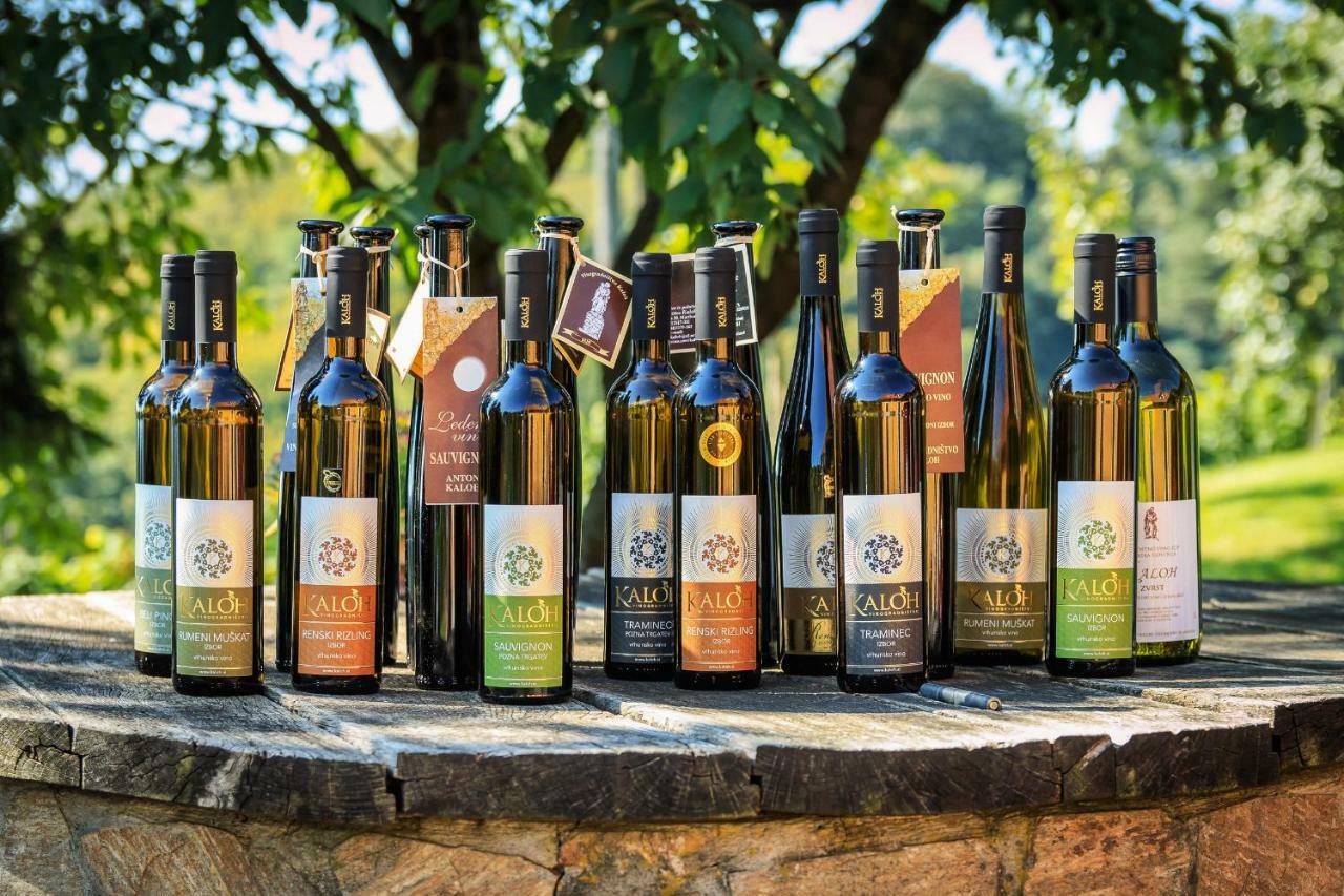 Wine House Kaloh Villa Maribor Bagian luar foto