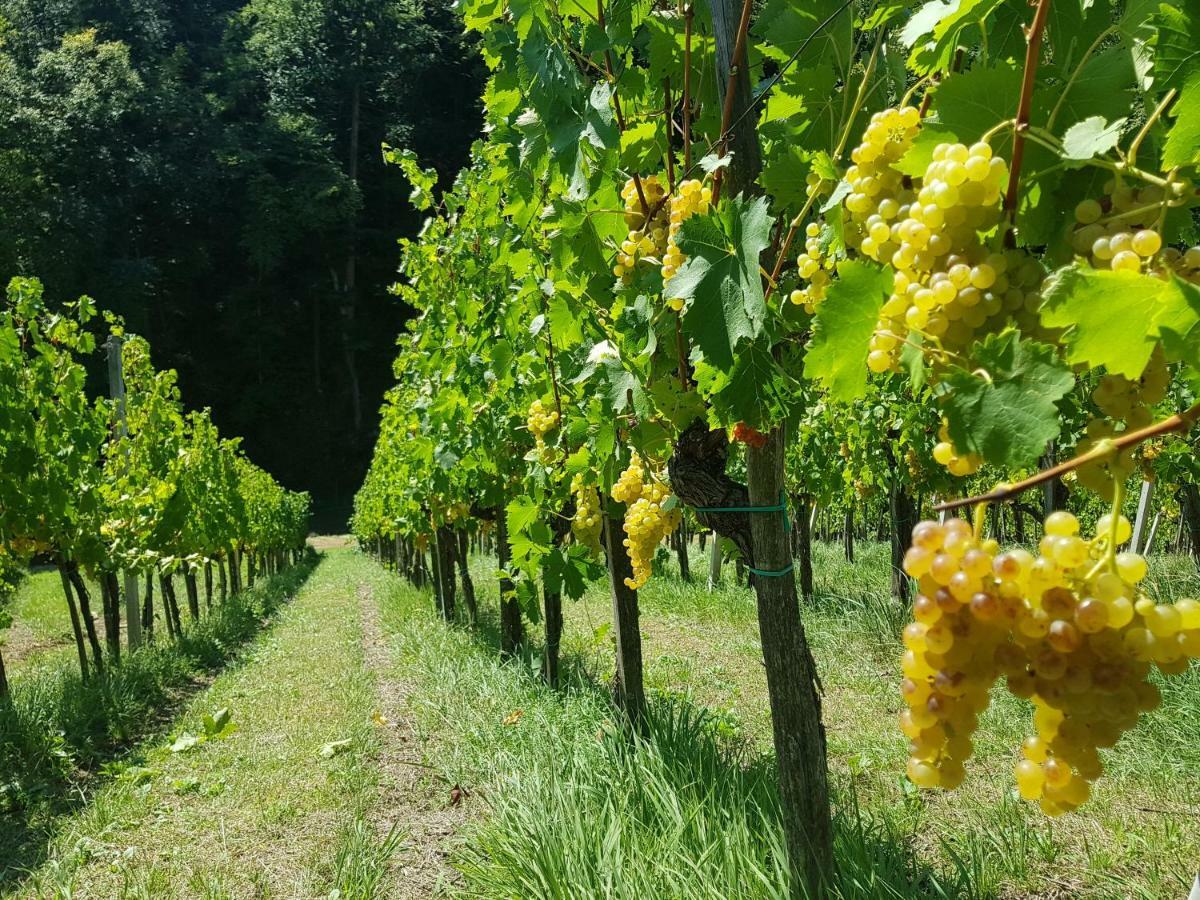 Wine House Kaloh Villa Maribor Bagian luar foto