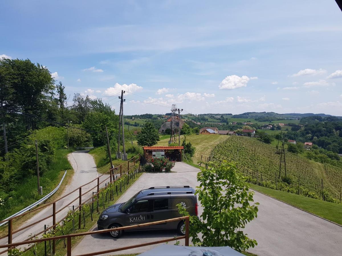 Wine House Kaloh Villa Maribor Bagian luar foto